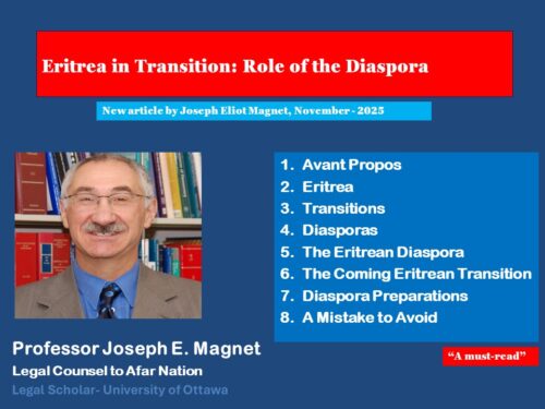 قراءة تحليلية: مستقبل إريتريا بعد أسياس أفورقي – دور الشتات وإشكالات دستور 1997 وفق ورقة البروفيسور جوزيف ماجنيت