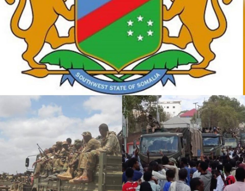 flag of South West Somalia region