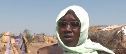 Qisma Abdulkarim, Director of the Humanitarian Aid Commission in Blue Nile