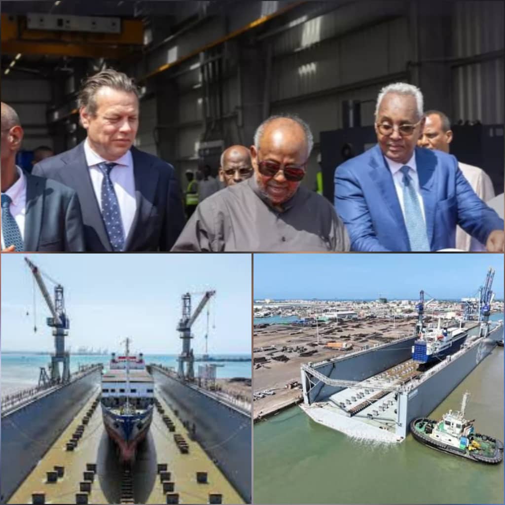 الرئيس إسماعيل جيليه وبجانبه عدد من المسؤولين خلال افتتح المشروع