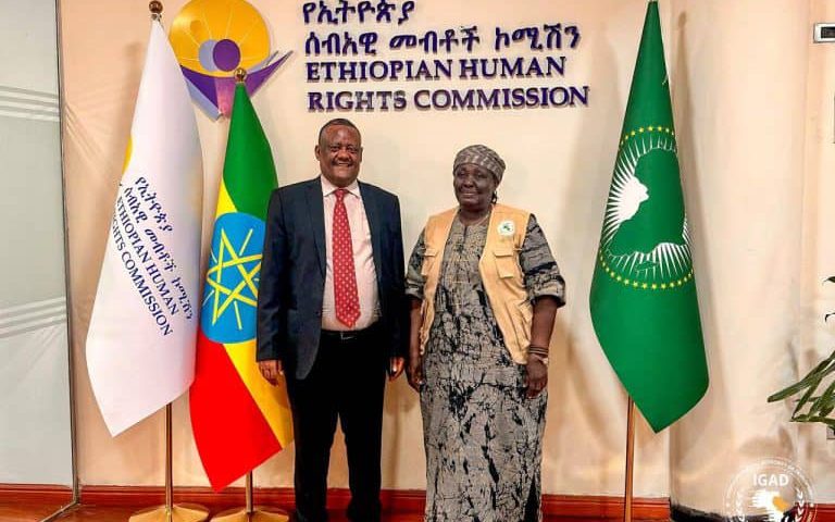 Head of IGAD mission and Director of Human Rights Organization in Ethiopia