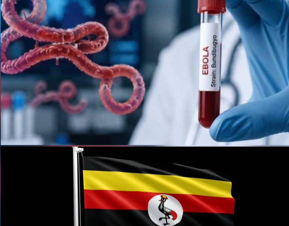 "Bundibugyo" is a strain of the Ebola virus